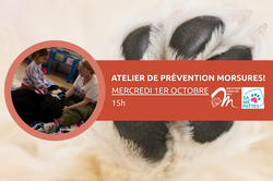 Atelier prévention morsures pour enfants !