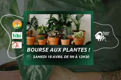 Bourse aux plantes !