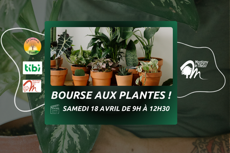 Illustration de l'actualité - cliquer pour agrandir