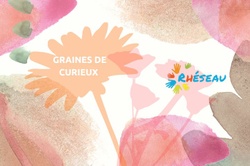 Activité "Graines de curieux"