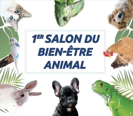Illustration de l'actualité - cliquer pour agrandir