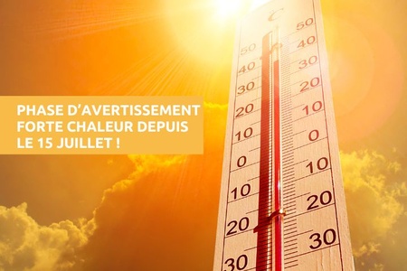 Illustration de l'actualité - cliquer pour agrandir