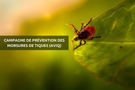 Illustration de l'actualité - cliquer pour agrandir