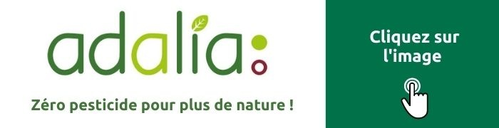 actu ada