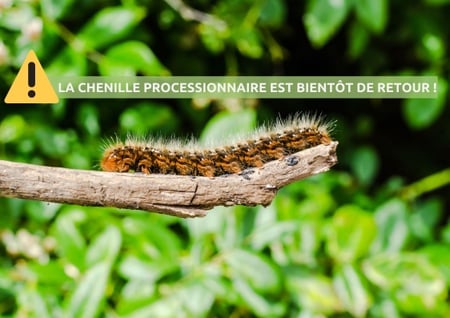 Illustration de l'actualité - cliquer pour agrandir