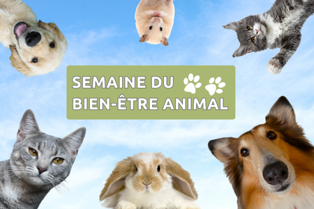 Illustration de l'actualité - cliquer pour agrandir