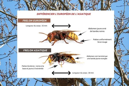 Illustration de l'actualité - cliquer pour agrandir