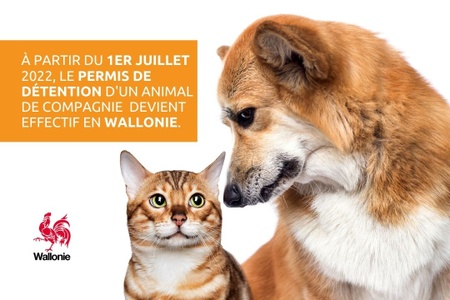 Illustration de l'actualité - cliquer pour agrandir