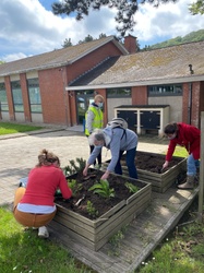 Potagers partagés de Landelies