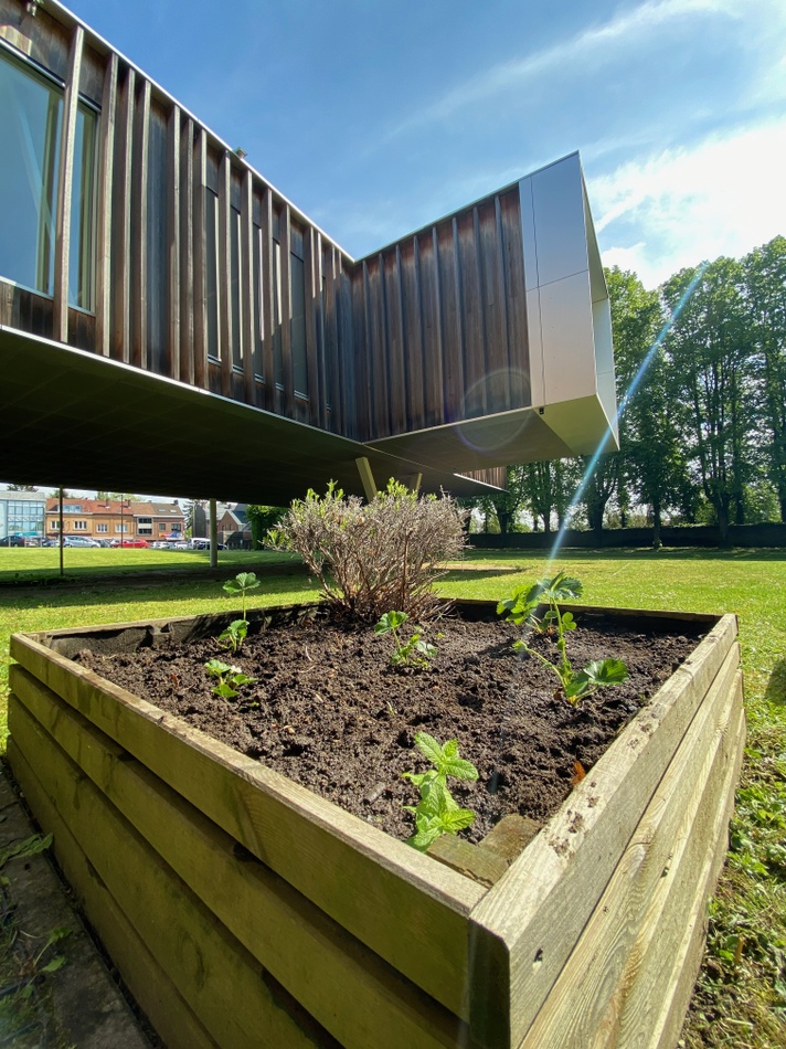 Potagers partagés de l'Hôtel de Ville