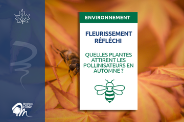 Illustration de l'actualité - cliquer pour agrandir